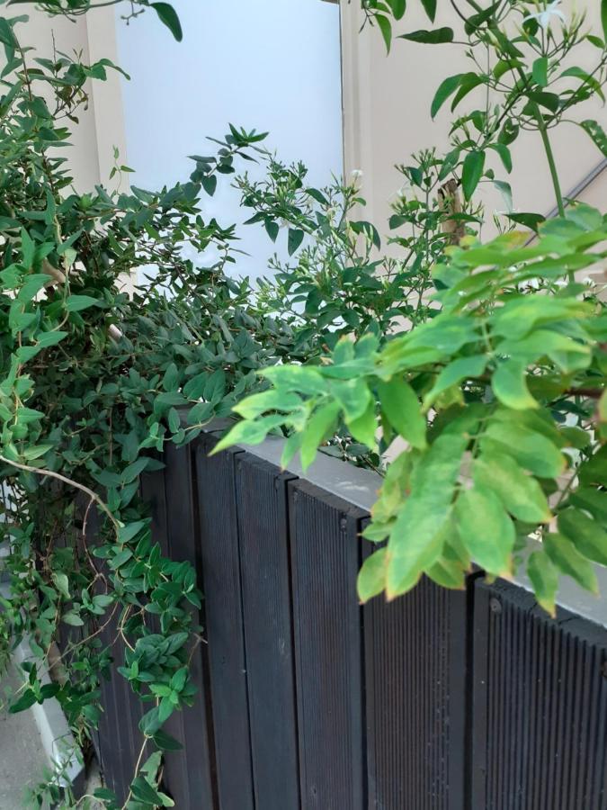 House Escape * Chania (Crete)