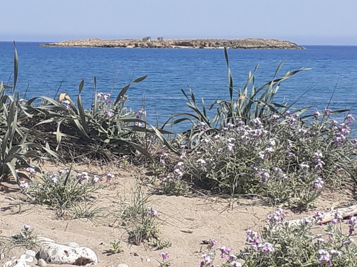 House Escape Chania (Crete)