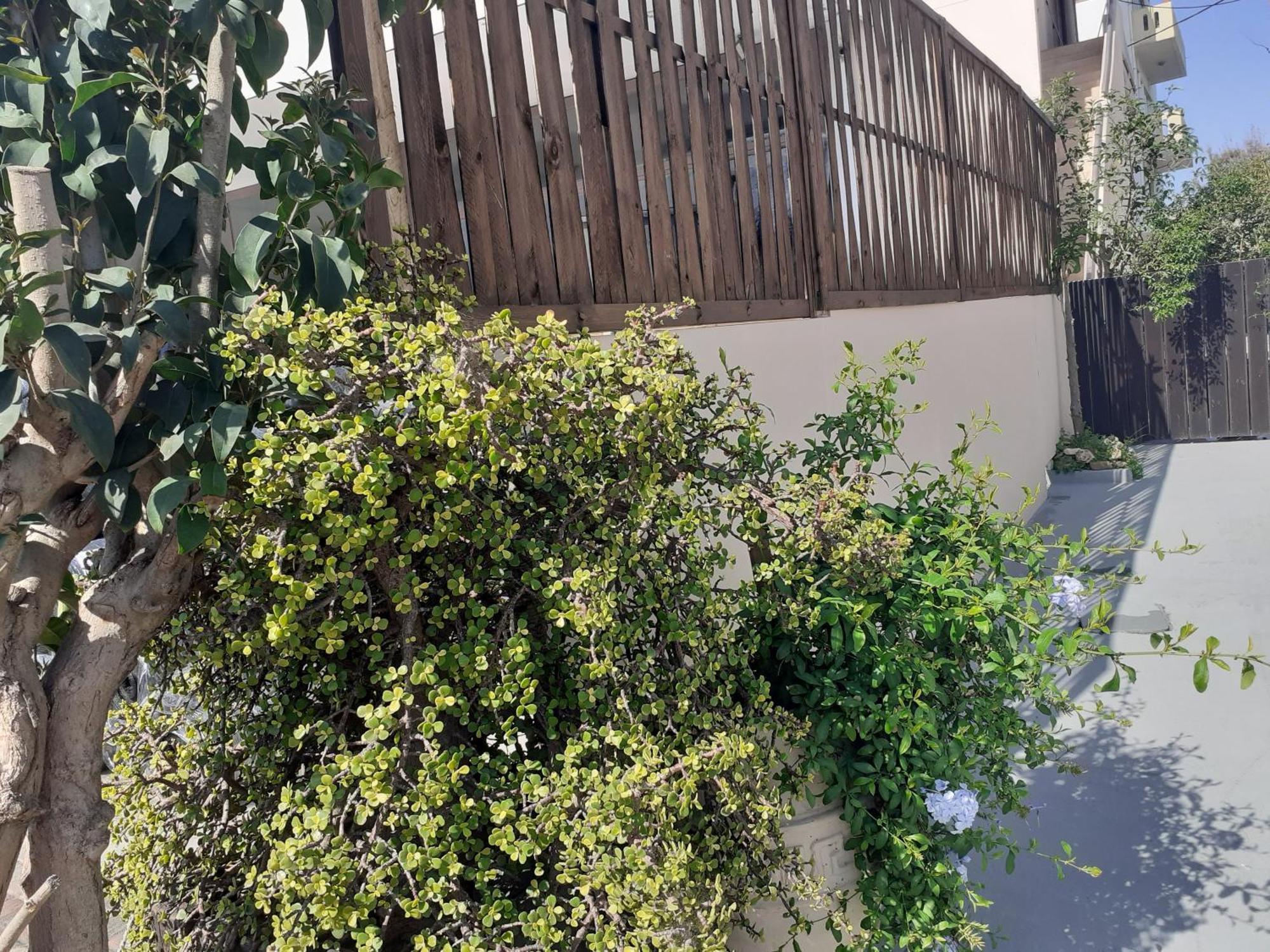 House Escape