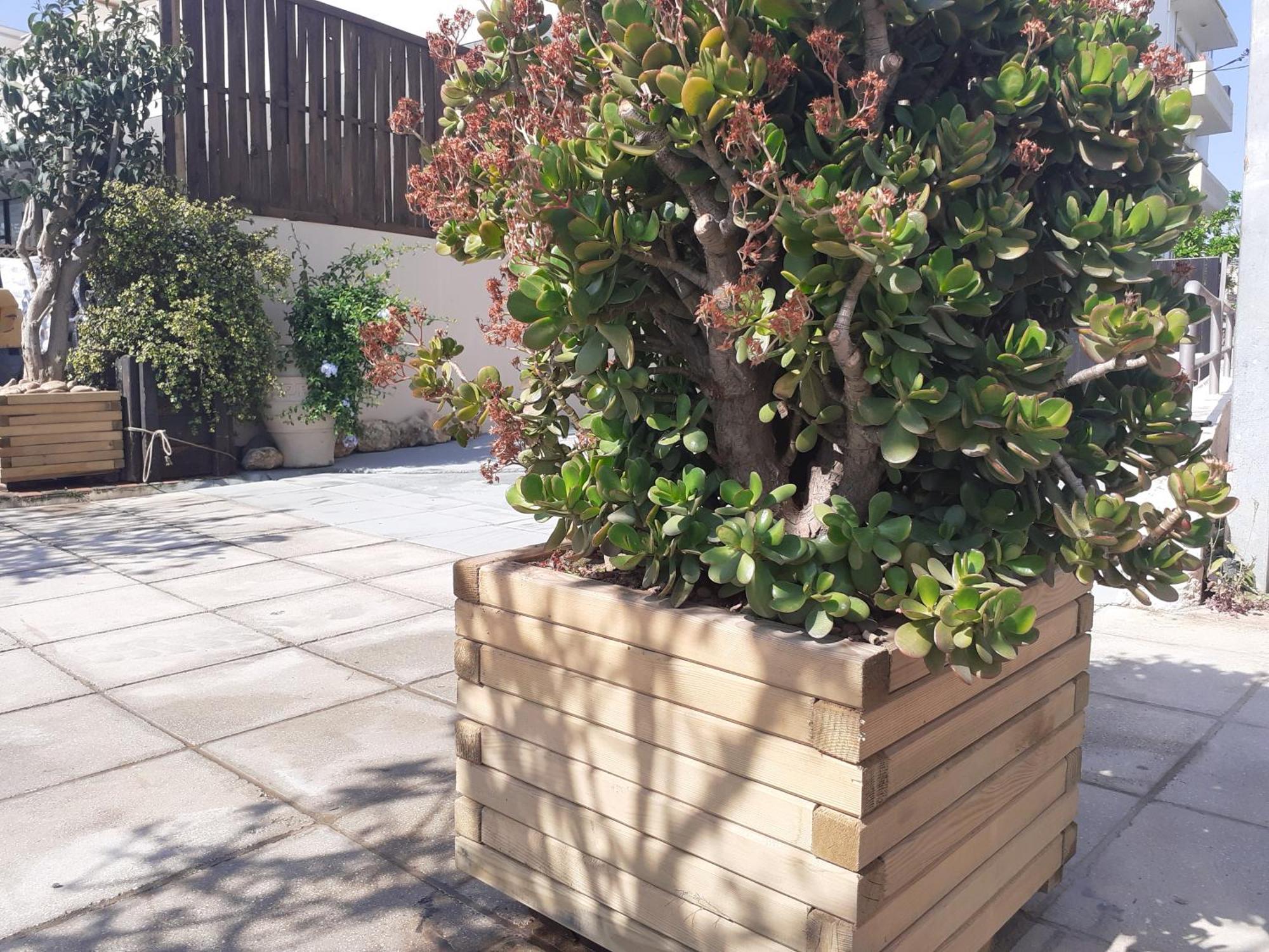 Apartmán House Escape Chania (Crete)